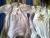 3� le pyjama velours kitchoun